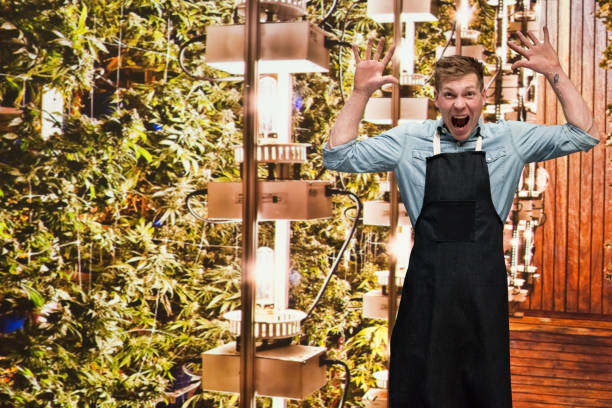 istock Man working in a marijuana shop and is excited 1170525856