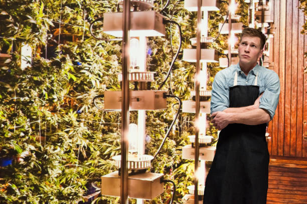 istock Man working in a marijuana shop and is thinking 1170525858
