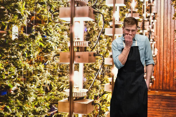 Man working in a marijuana shop and is worried