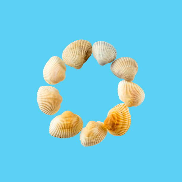 istock Letter 