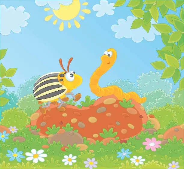 Vector illustration of Colorado beetle and Worm