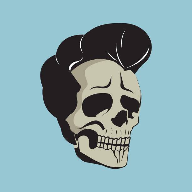 ilustrações, clipart, desenhos animados e ícones de crânio considerável - pompadour