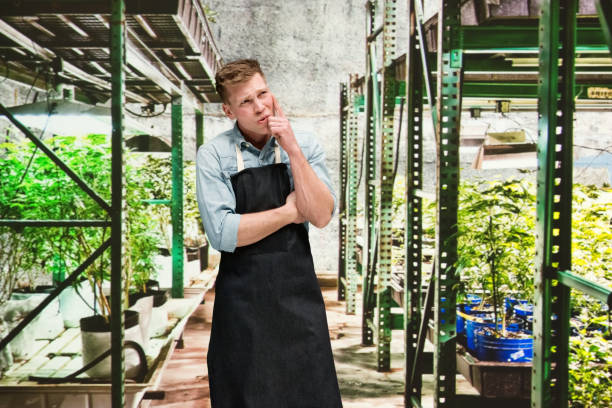 istock Marijuana shop - Male worker is confused 1170528253