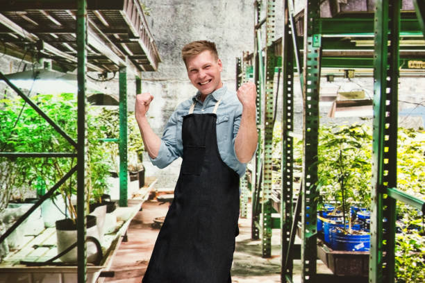 istock Marijuana shop - Male worker is doing fist pump 1170528751