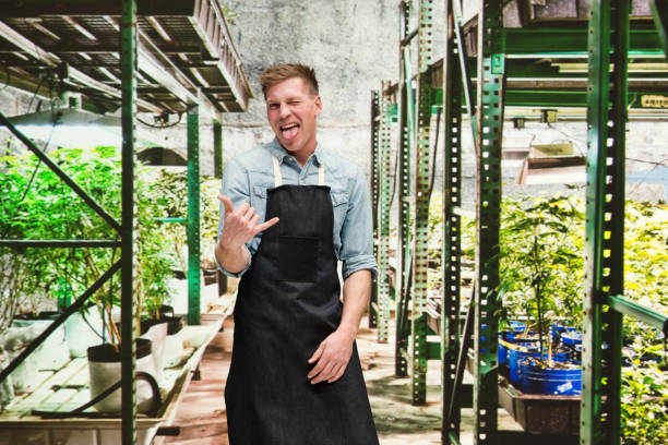 istock Marijuana shop - Male worker is doing shaka sign 1170528991
