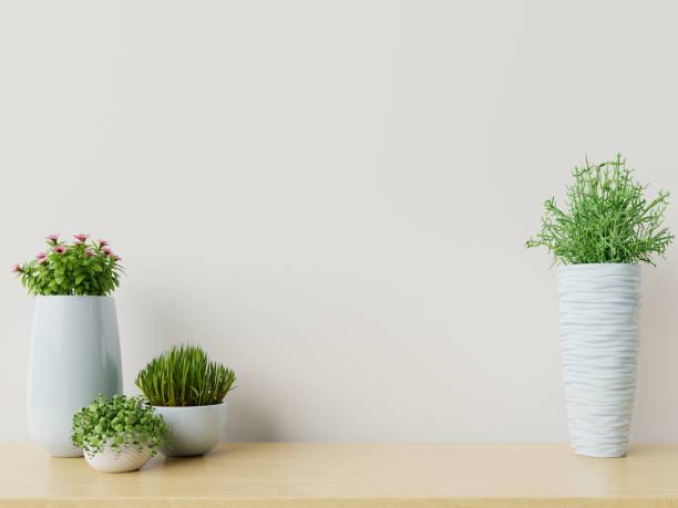 istock Empty room with plants mockup have wooden floor. 1170529101
