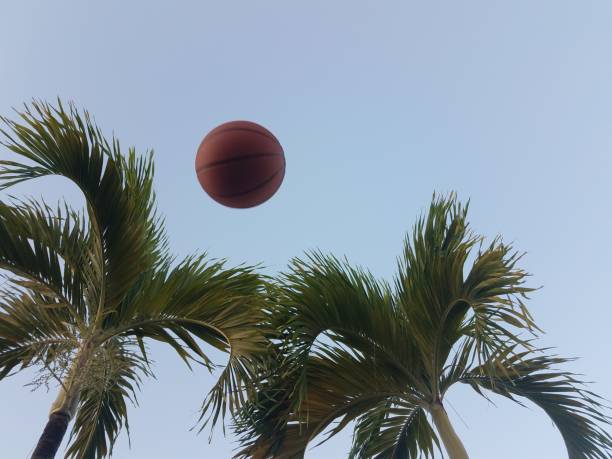 istock basketball in the air with palm trees 1170532327
