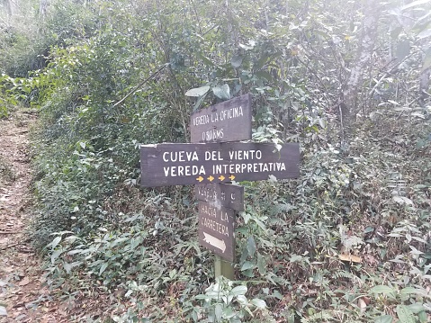path or trail in the Guajataca forest in Puerto Rico with sign to the cave of wind and interpretive trail and green plants
