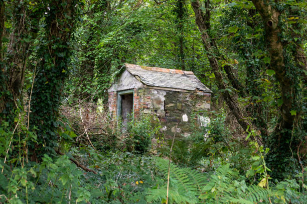 istock dilapidated abandoned building in woodlands 1170533144