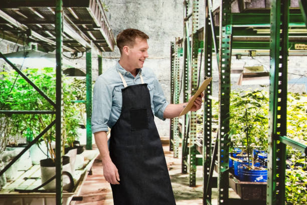 Marijuana shop - Male worker is holding a clipboard