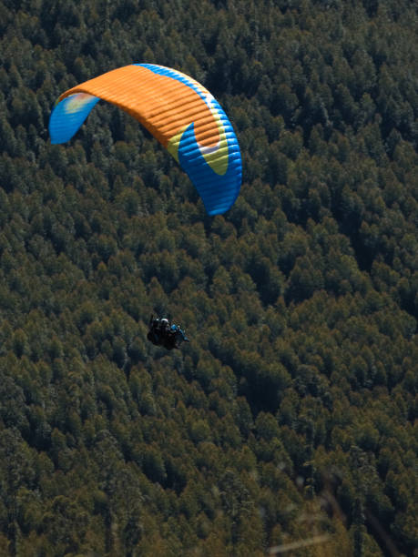istock Multicolored paraglide, flying over a green forest area. 1170534720