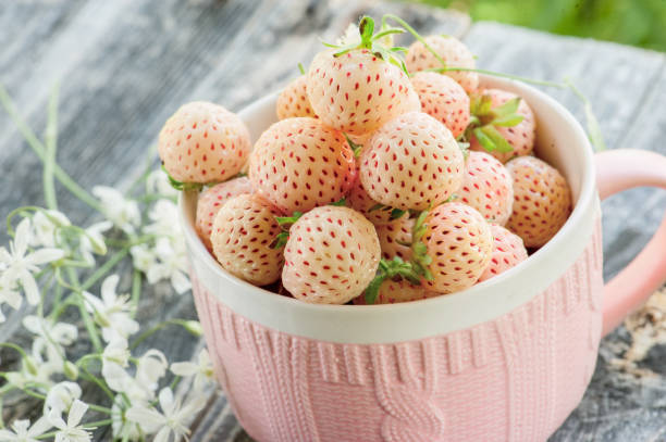 reife frische pinienbeeren in einem rosa cup im rustikalen stil mit kleinen weißen blumen nahaufnahme - breakfast close up vegetarian food nature stock-fotos und bilder