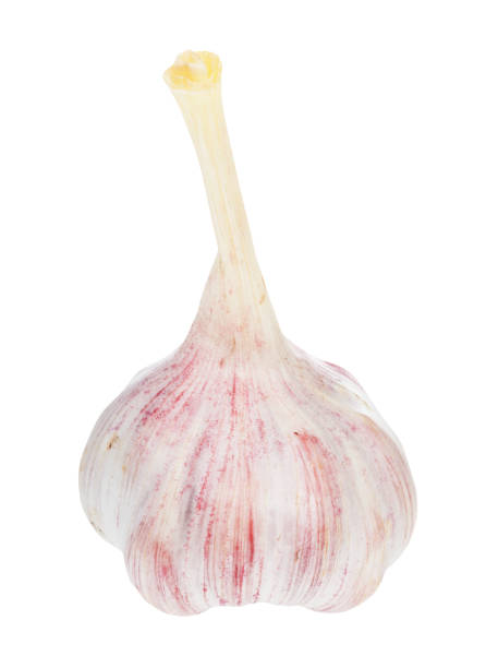 istock bulb of young fresh garlic isolated on white 1170538863