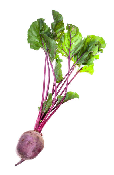 istock organic garden beet root with greens isolated 1170540006