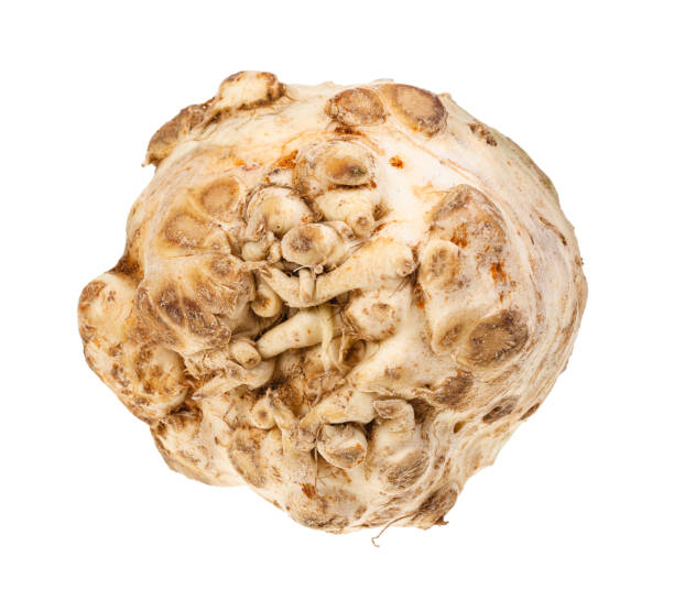 istock fresh root of f celeriac ( knob celery) isolated 1170540069