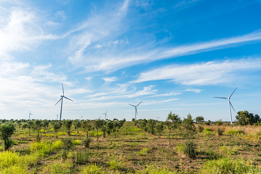 Alternative energy - Wind turbines power generation in Puglia, Italy