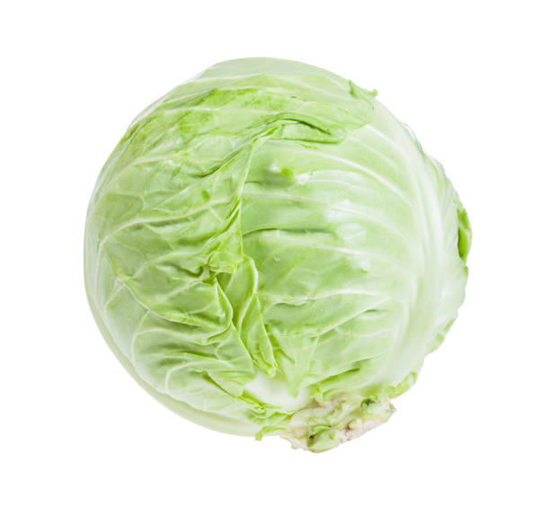 fresh white cabbage isolated on white fresh white cabbage isolated on white background white cabbage stock pictures, royalty-free photos & images