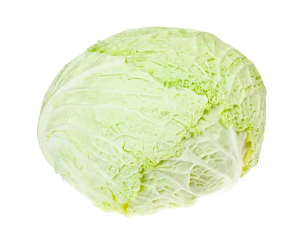 cabbagehead of fresh savoy cabbage isolated on white background