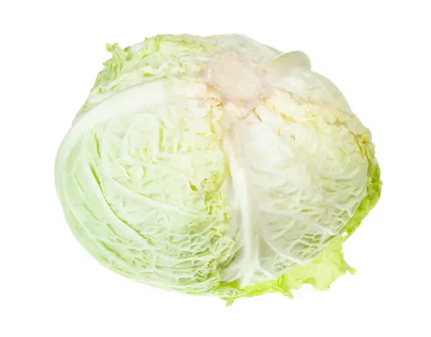 ripe cabbagehead of savoy cabbage isolated on white background
