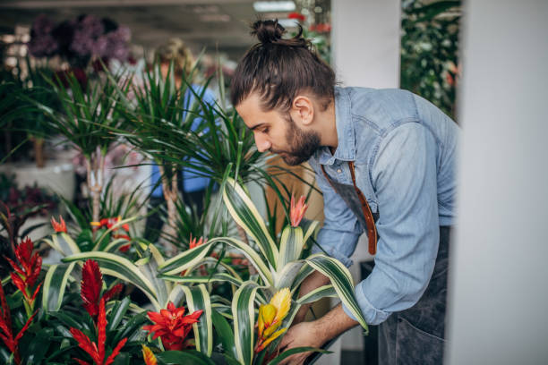 istock Male florist working with plants 1170541637
