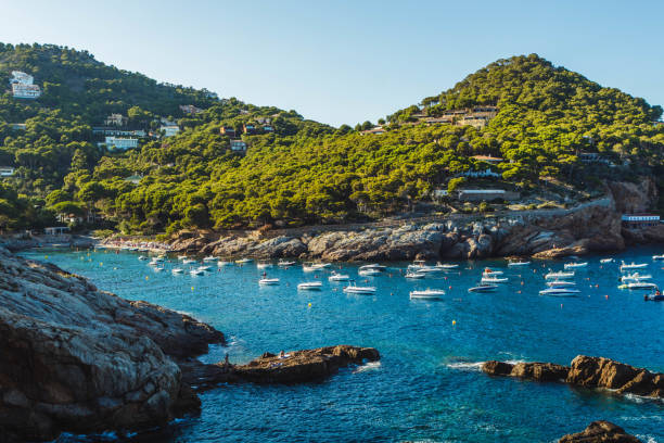 istock Landscape in the Coast Brave (Costa Brava) in Girona (Catalonia, Spain) 1170542266