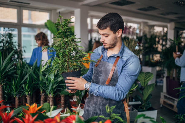 istock Male florist holding plant 1170542355