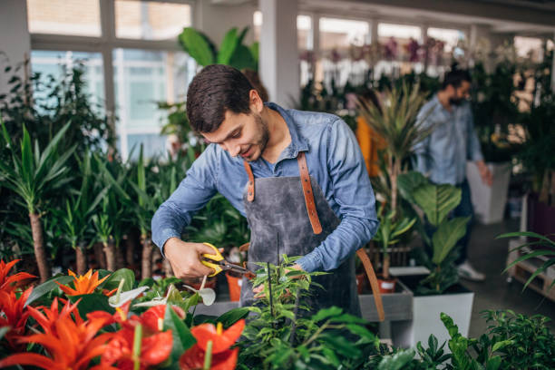 istock Male florist working 1170542489