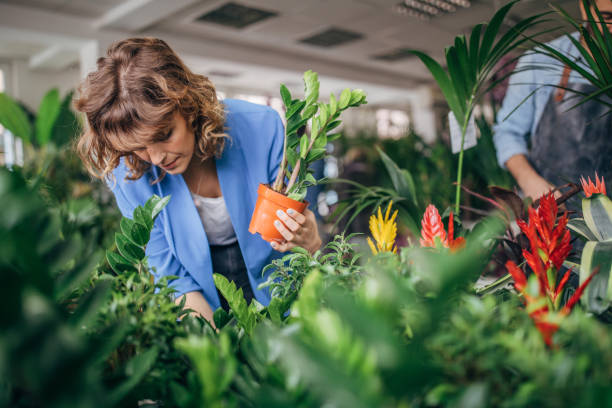 istock Woman holding plant 1170543828