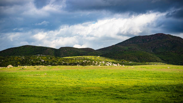 A grassy field with light shining through the dark cloudscape. Image taken near the Inland Empire area in Southern California