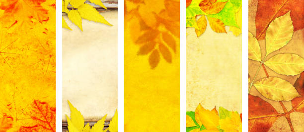 istock Set of vertical or horizontal autumn banners 1170551908