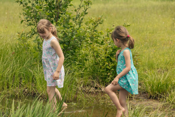 istock By a lake, two sisters spending time together while looking for frogs to capture. 1170553825