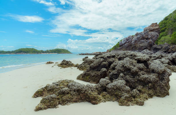 istock Beaches and rocks in nature 1170554770