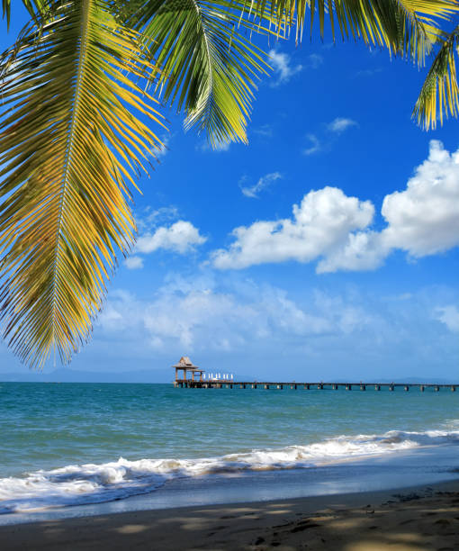Beautiful tropical beach with palm tree and wooden pier over blue sky in Phuket island