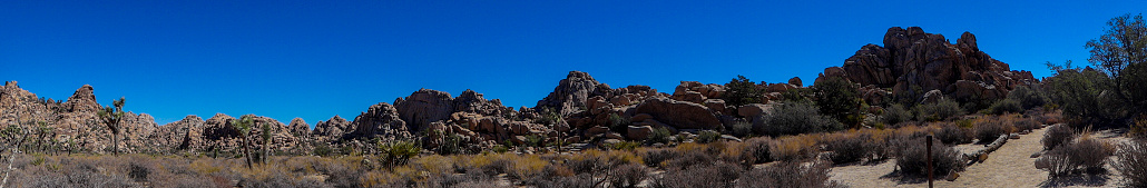 Panoramic photo with scenes of Joshuatree National Park
