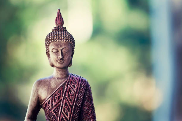 posąg buddy odizolowany na zewnątrz na naturze i zielonym tle z kopią przestrzeni. symbol buddyzmu religii, pokoju i duchowości - buddha thailand spirituality wisdom zdjęcia i obrazy z banku zdjęć