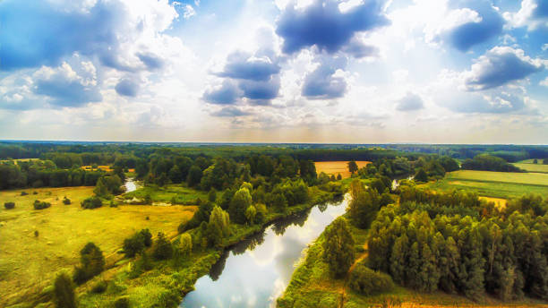 istock Mysterious river Widawka in summer day, Poland 1170564362
