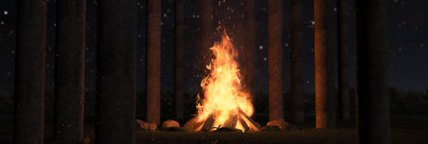 Photo of 3d rendering of big bonfire with sparks and particles next to pine trees and starry sky