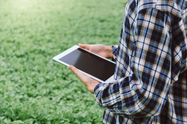 istock young female farmer using mobile tablet computer with organic hydroponic fresh vegetables produce in greenhouse garden nursery farm, smart farming technology and agricultural innovation concept 1170564770