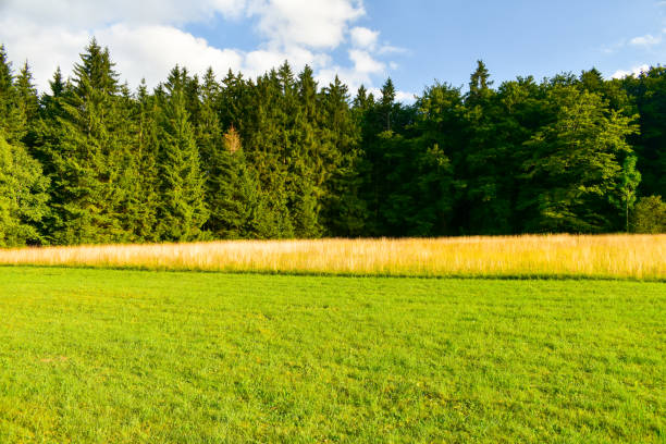 istock Panoramic view of Swabian Alb, highlands Germany. 1170566298