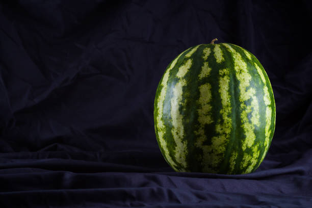 Watermelon on black cloth. Whole watermelon on dark background. Healthy food for vegan. Copy space