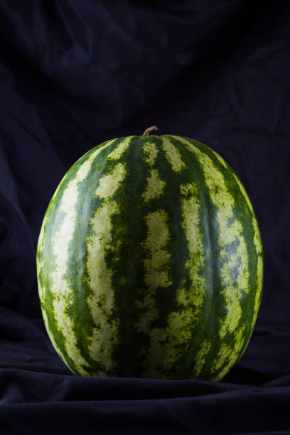 Watermelon on black cloth. Whole watermelon on dark background. Healthy food for vegan. Copy space