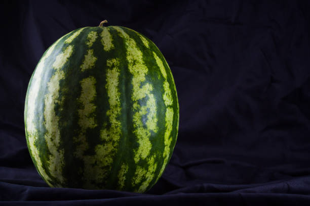 Watermelon on black cloth. Whole watermelon on dark background. Healthy food for vegan. Copy space