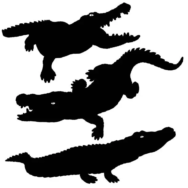 Vector illustration of Alligator Silhouette Set