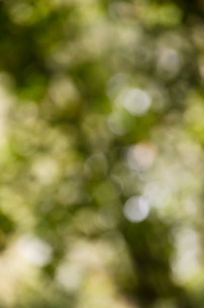 istock Photo Bokeh background in green tones 1170573888
