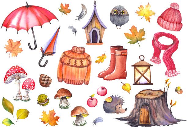 Autumn illustration of umbrellas, knitwear clothing, rubber boots, apples, mushrooms, cute owl, hedghog and colorful leaves. Autumn illustration of umbrellas, knitwear clothing, rubber boots, apples, mushrooms, cute owl, hedghog and colorful leaves. Watercolor isolated on white background. knitted pumpkin stock illustrations