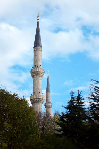 istock Architectural detail from Blue Mosque in Istanbul 1170574083