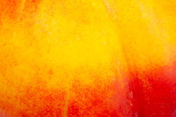 istock Close up nectarine skin. Fresh organic peaches. Fruit peaches background. 1170574933