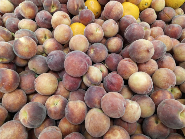 fresh organic peaches heap of fresh ripe peaches at a turkish street market. - antioxidant medicine closed close to imagens e fotografias de stock