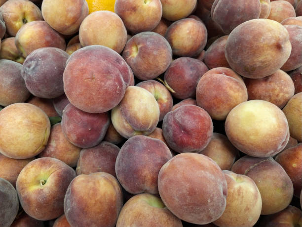 fresh organic peaches heap of fresh ripe peaches at a turkish street market. - medicine closed antioxidant close to imagens e fotografias de stock