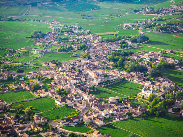 Aerial view of Meursault village in the middle of vineyards in Burgundy, France stock photo
